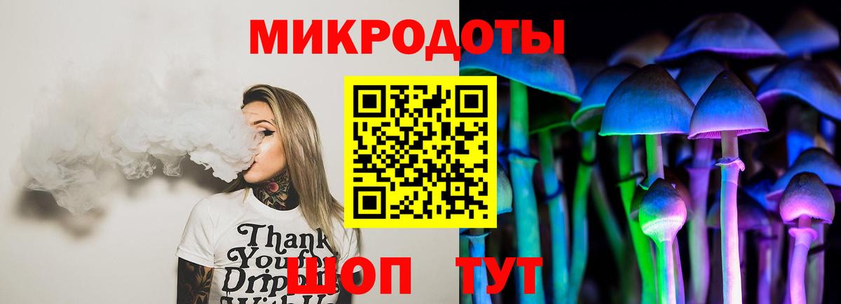 Псилоцибиновые грибы мицелий Энгельс